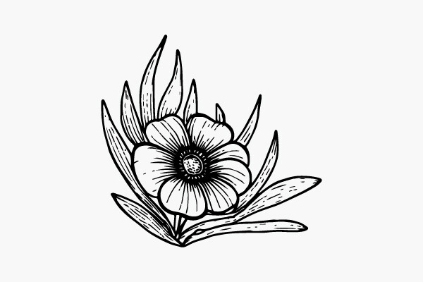 Flower Coloring Page Hand Drawing Vector