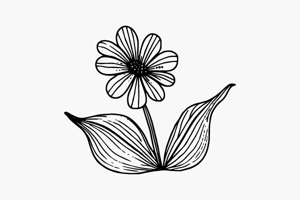 Flower Coloring Page Hand Drawing Vector