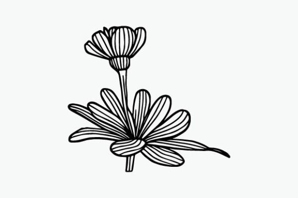 Flower Coloring Page Hand Drawing Vector