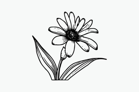 Flower Coloring Page Hand Drawing Vector