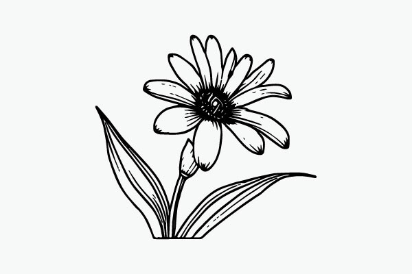 Flower Coloring Page Hand Drawing Vector