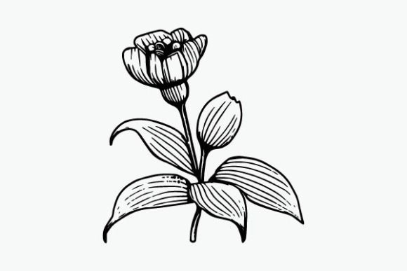 Flower Coloring Page Hand Drawing Vector