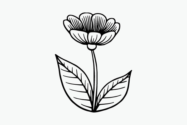 Flower Coloring Page Hand Drawing Vector