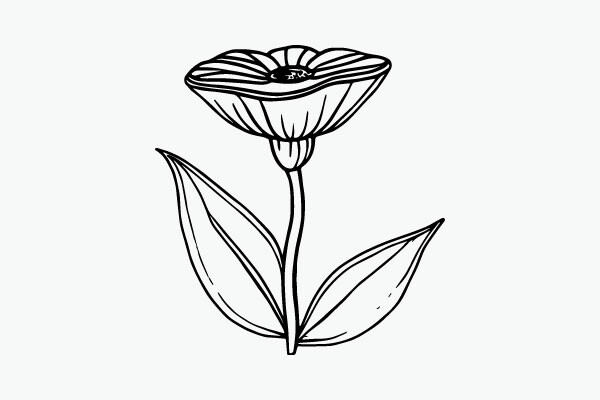 Flower Coloring Page Hand Drawing Vector