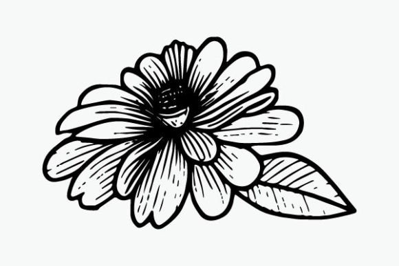 Flower Coloring Page Hand Drawing Vector