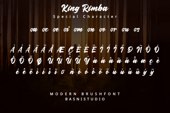 King Rimba Font - Preview 4