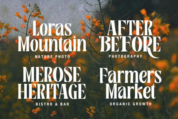 Rosamila Font PNG with transparent background - Preview 3