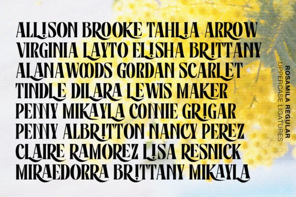 Rosamila Font PNG with transparent background - Preview 5