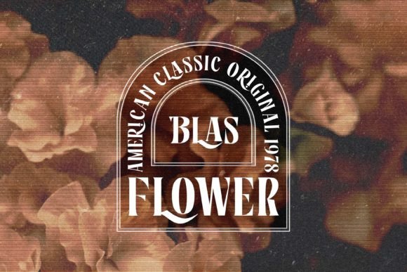Rosamila Font PNG with transparent background - Preview 6