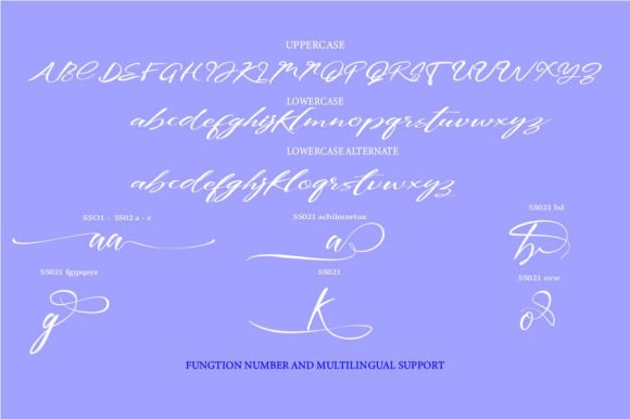 Agustine Font - Preview 1