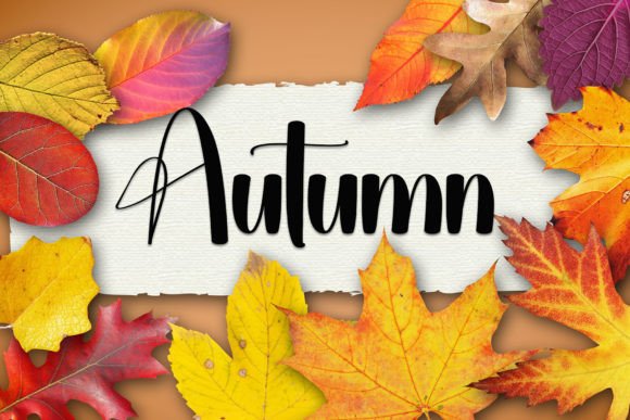 Gratitude Font - Preview 1