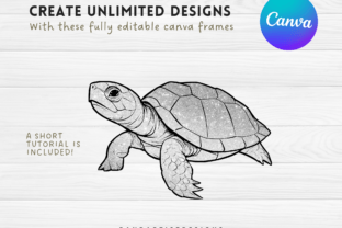 Turtle Canva Frames Template Bundle Graphic by PandArtistDesign ...