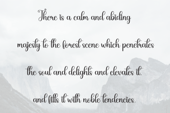 Agatha Signature Font - Preview 5