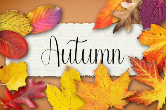 Autography Font - Preview 1