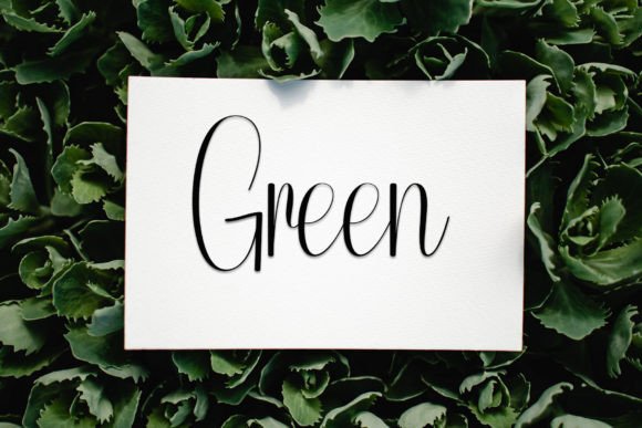 Autography Font - Preview 2
