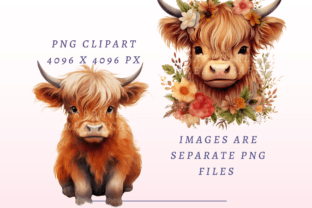 Baby Highland Cow PNG Bundle Graphic by SapphireDreamscape · Creative ...