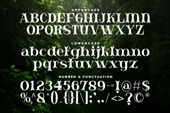 Budaya Font - Preview 5