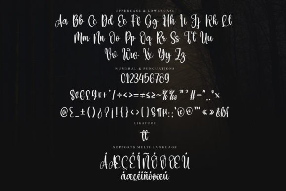 Chasing Font - Preview 5