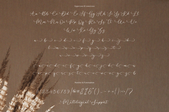 Cherylitta Font - Preview 4