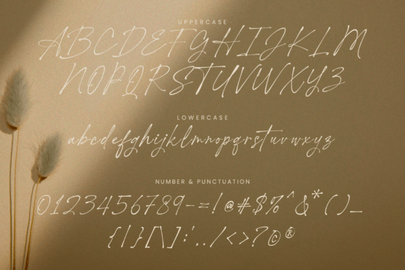 Hanifah Salamah Font - Preview 6
