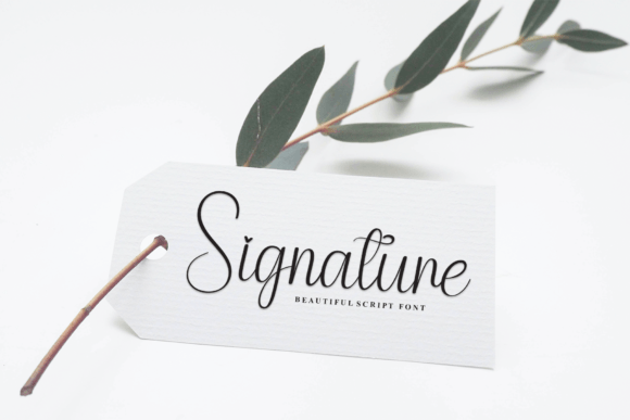 Bright Font - Preview 4