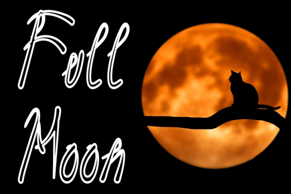 Aligator Font - Preview 2