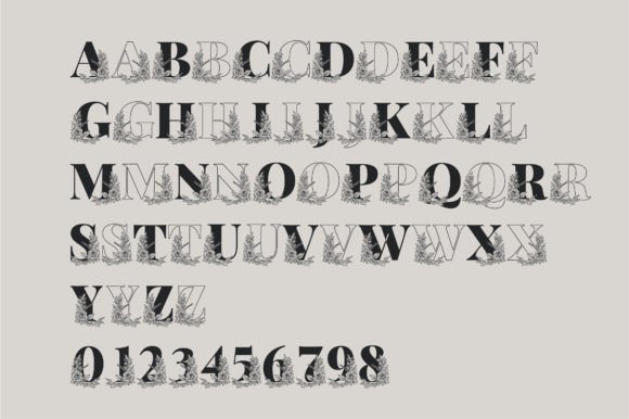 Kalia Monogram Font PNG with transparent background - Preview 5