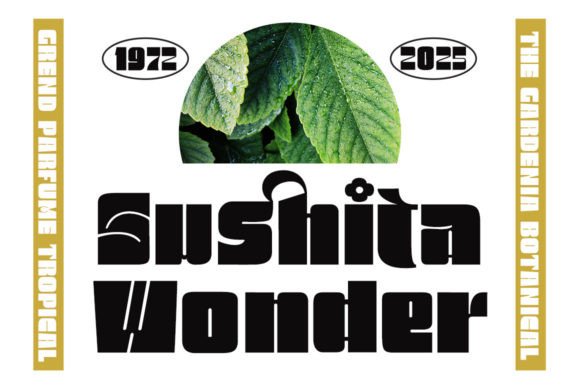 Malista Family Font PNG with transparent background - Preview 3
