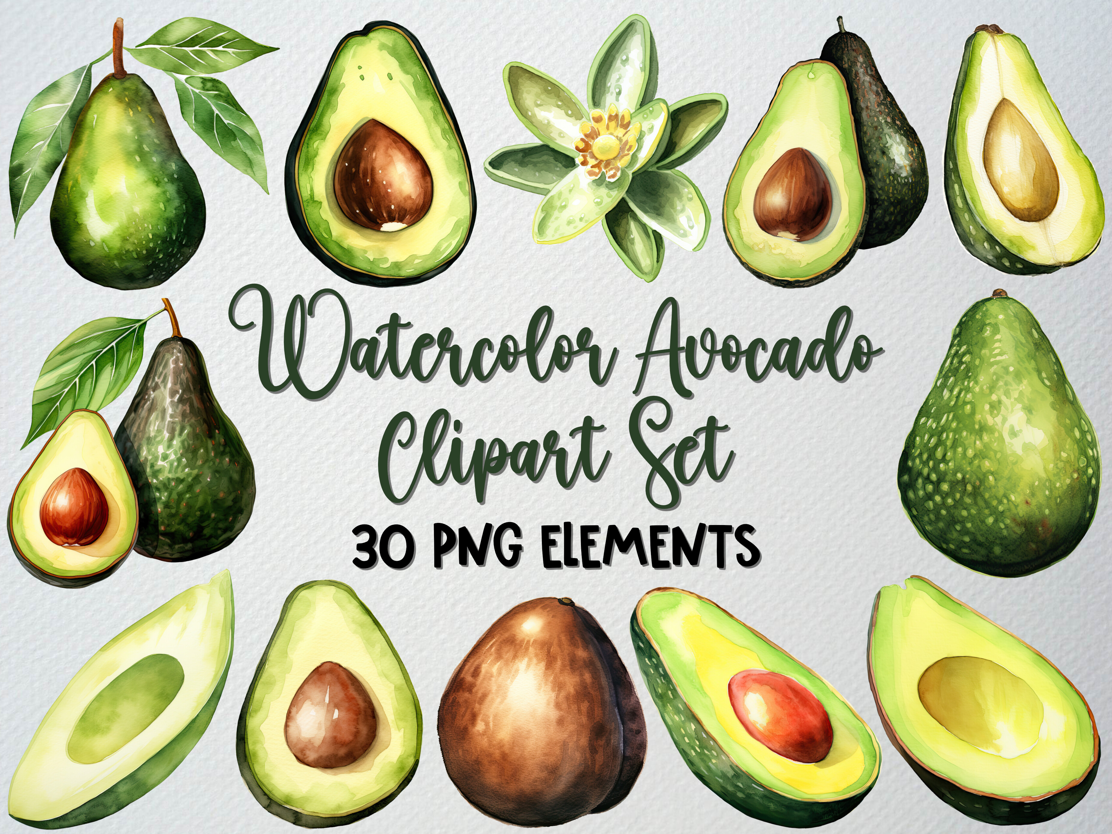 Watercolor Avocado Clipart Set, 30 PNG Graphic by beyouenked · Creative ...