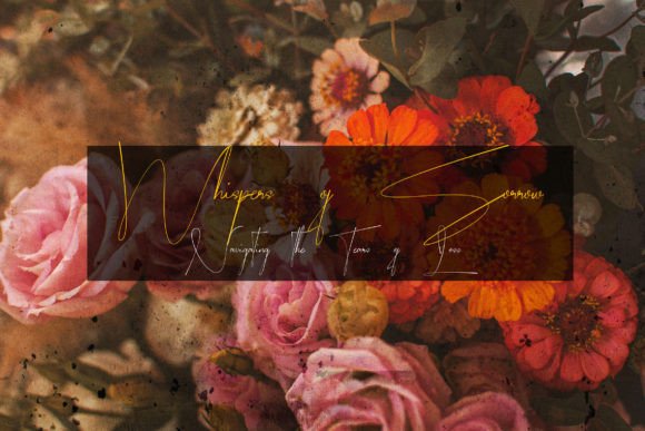 Qentoraga Font PNG with transparent background - Preview 3