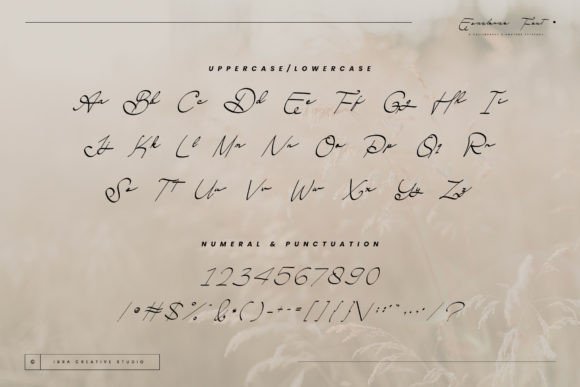 Esmelora Font - Preview 3