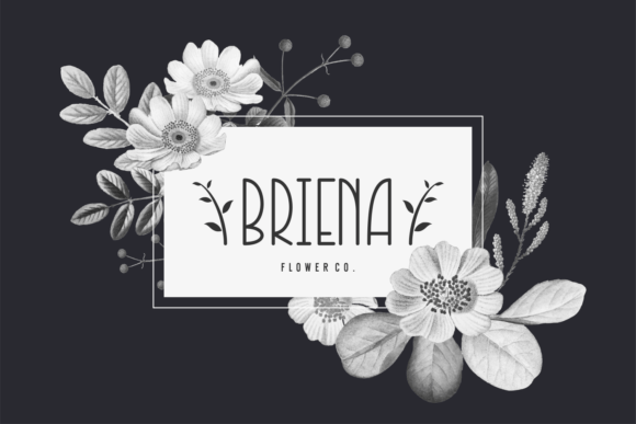 Meria Font PNG with transparent background - Preview 1