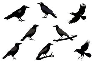 Two Crows Svg Crow SVG Bundle Graphic by VYCstore · Creative Fabrica
