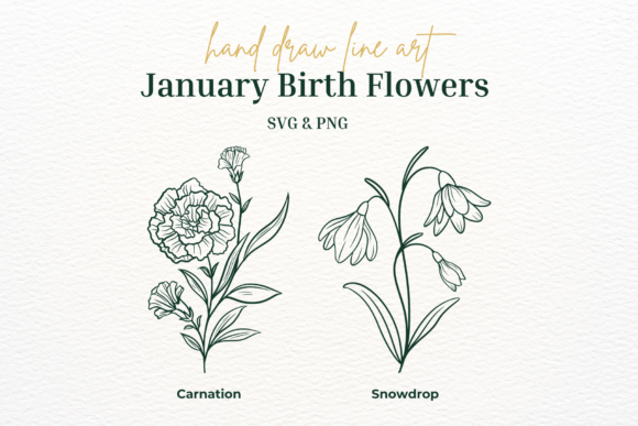 January Birth Flower Svg Png