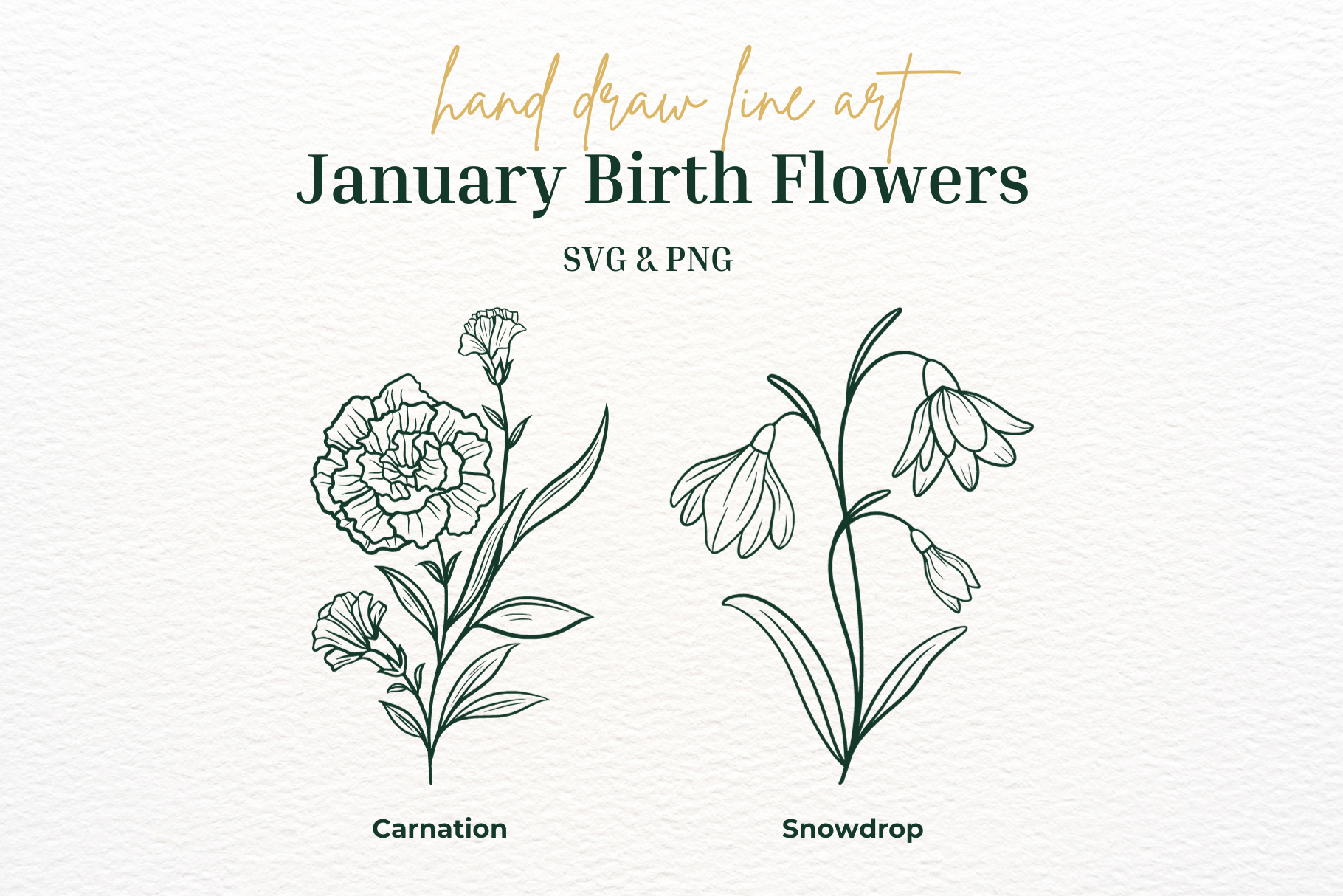 January Birth Flower Svg Png