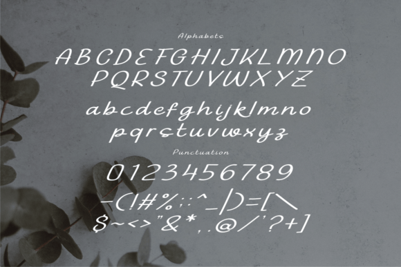 Chikofe Font - Preview 2