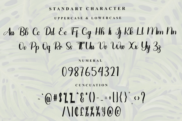Autography Font - Preview 4