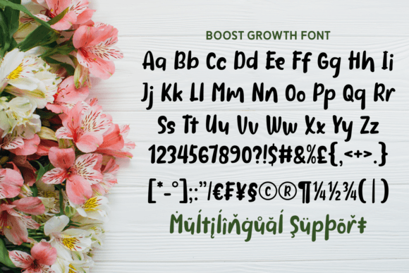 Boost Growth Font - Preview 4