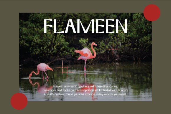 Flameen Font PNG with transparent background - Preview 1