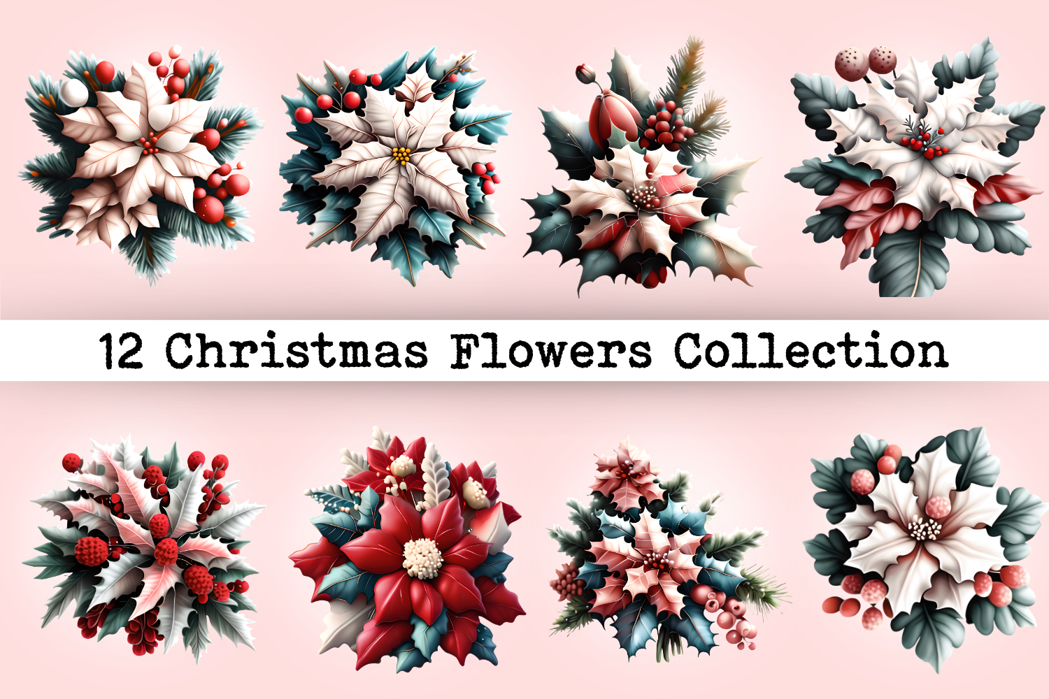 12 Christmas Flowers Collection Graphic by Hassas Arts · Creative Fabrica