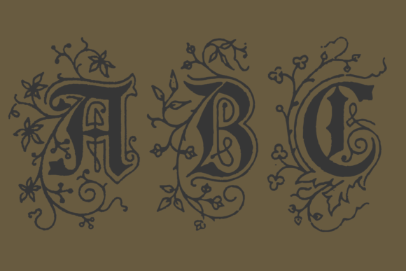 Scribonius Gtslb Font PNG with transparent background - Preview 3