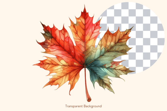 Autumn Leaf Watercolor Clipart, Fall