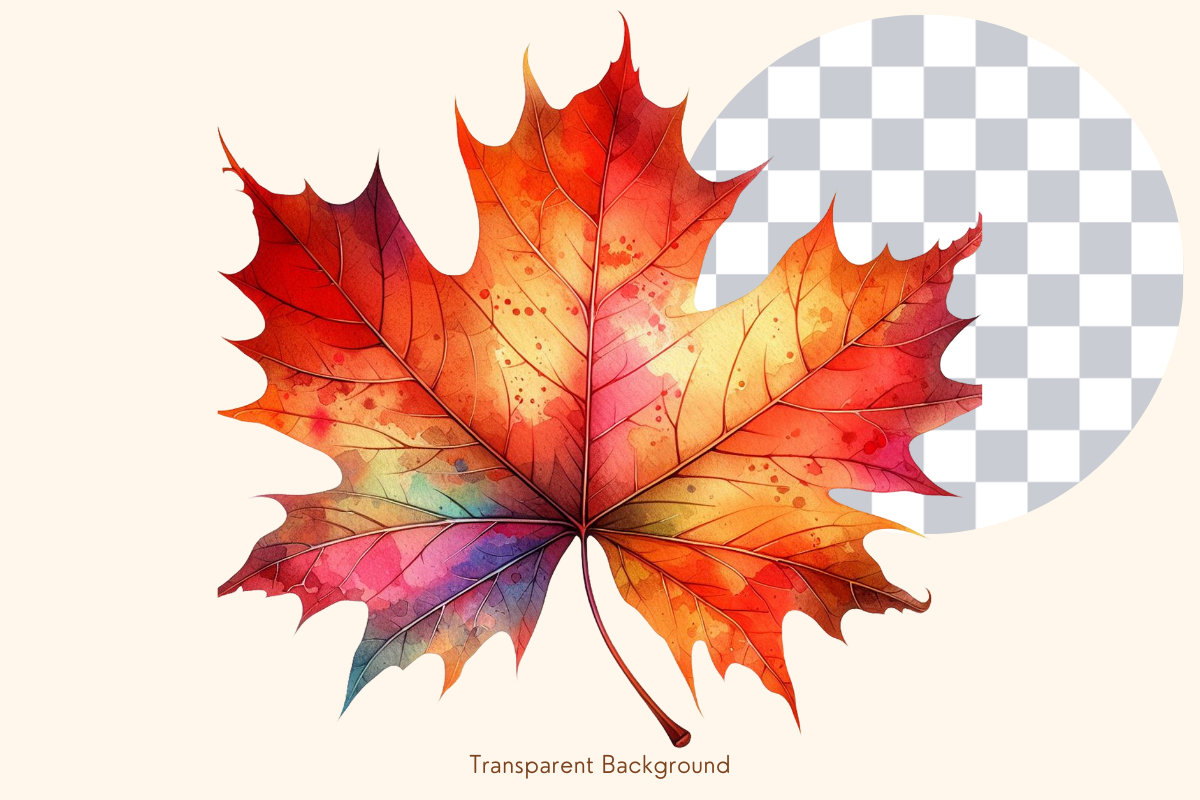Autumn Maple Leaf Watercolor Cliparts