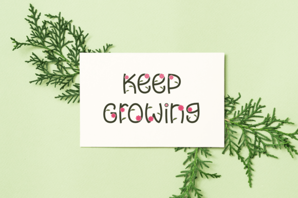 Amora Spring Font - Preview 2