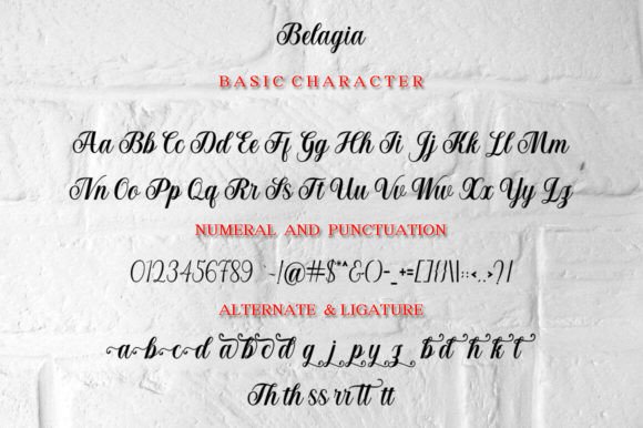 Belagia Font - Preview 5