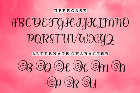 Bidgette Font - Preview 5