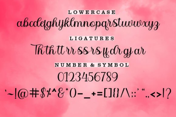 Bidgette Font - Preview 6