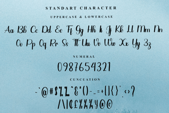 Book Signature Font - Preview 4