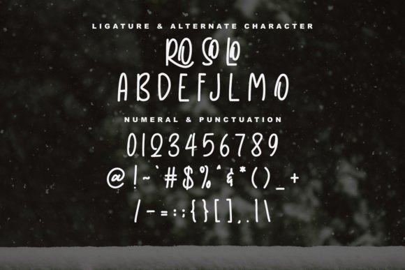 Bugis Font - Preview 2