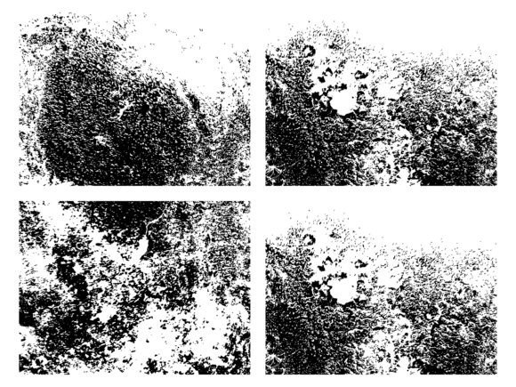 Distress Overlay Texture